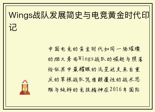 Wings战队发展简史与电竞黄金时代印记